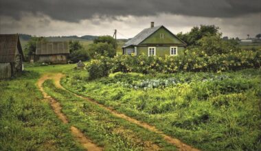 Village in русский