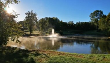 Located in the East of France, close to the Swiss border, Lyon and the Dombes are at the crossroads of Europe. With its thousand ponds the Dombes region offers you a wonderful golf landscape and world-renowned gastronomy.