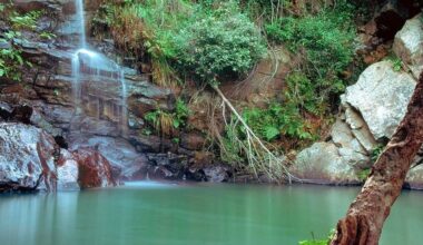 Los Alcornocales national park, Andalusia, Spain