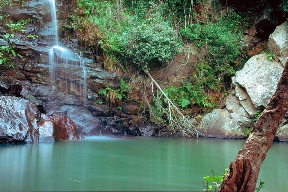 Los Alcornocales national park, Andalusia, Spain