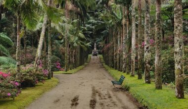 Sao Miguel, Azores, Portugal