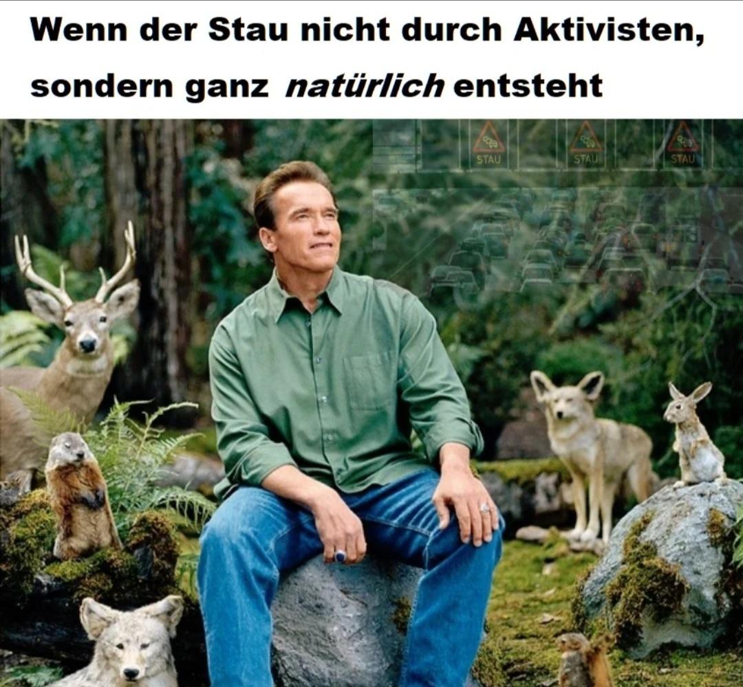 Endlich wieder Stau