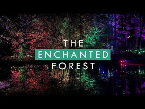 The magical Enchanted Forst - Scotland's biggest autumn festival in beautiful surroundings (4K, 60FPS)