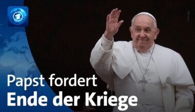 Papst Franziskus kritisiert Waffenindustrie