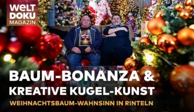 LICHTER, LAMETTA & LEIDENSCHAFT🎄Das leuchtende Weihnachtswunder von Rinteln! | WELT MAGAZIN