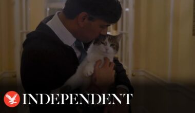 Rishi Sunak shares bizarre Home Alone-inspired video at No 10 featuring Larry the cat