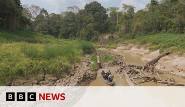 Is unprecedented drought pushing the Amazon to the brink? | BBC News