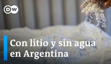 Extracción de litio seca una vega del acuífero trapiche en el norte de Argentina