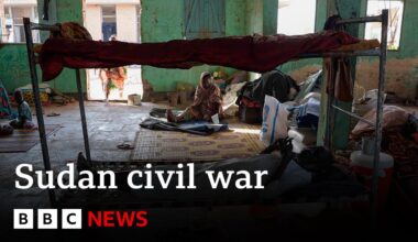 Eight months of civil war in Sudan | BBC News