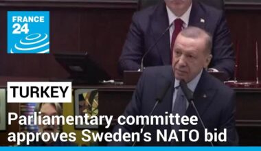 Sweden closer to NATO membership after Turkish parliamentary committee vote • FRANCE 24 English