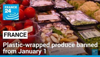 France to ban plastic packaging for fresh produce in new year • FRANCE 24 English