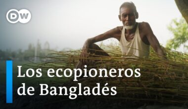 Bangladés: ¿Tendrá éxito la revolución ecológica del yute? | DW Documental