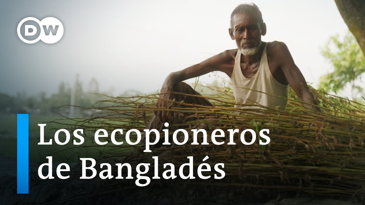 Bangladés: ¿Tendrá éxito la revolución ecológica del yute? | DW Documental