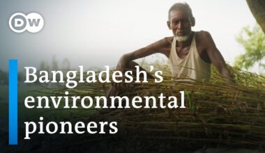 Bangladesh: Could jute jump start the eco-revolution? | DW Documentary