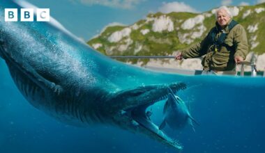 Uncovering the secrets of the TERRIFYING pliosaur 🦖 | Attenborough and the Giant Sea Monster - BBC