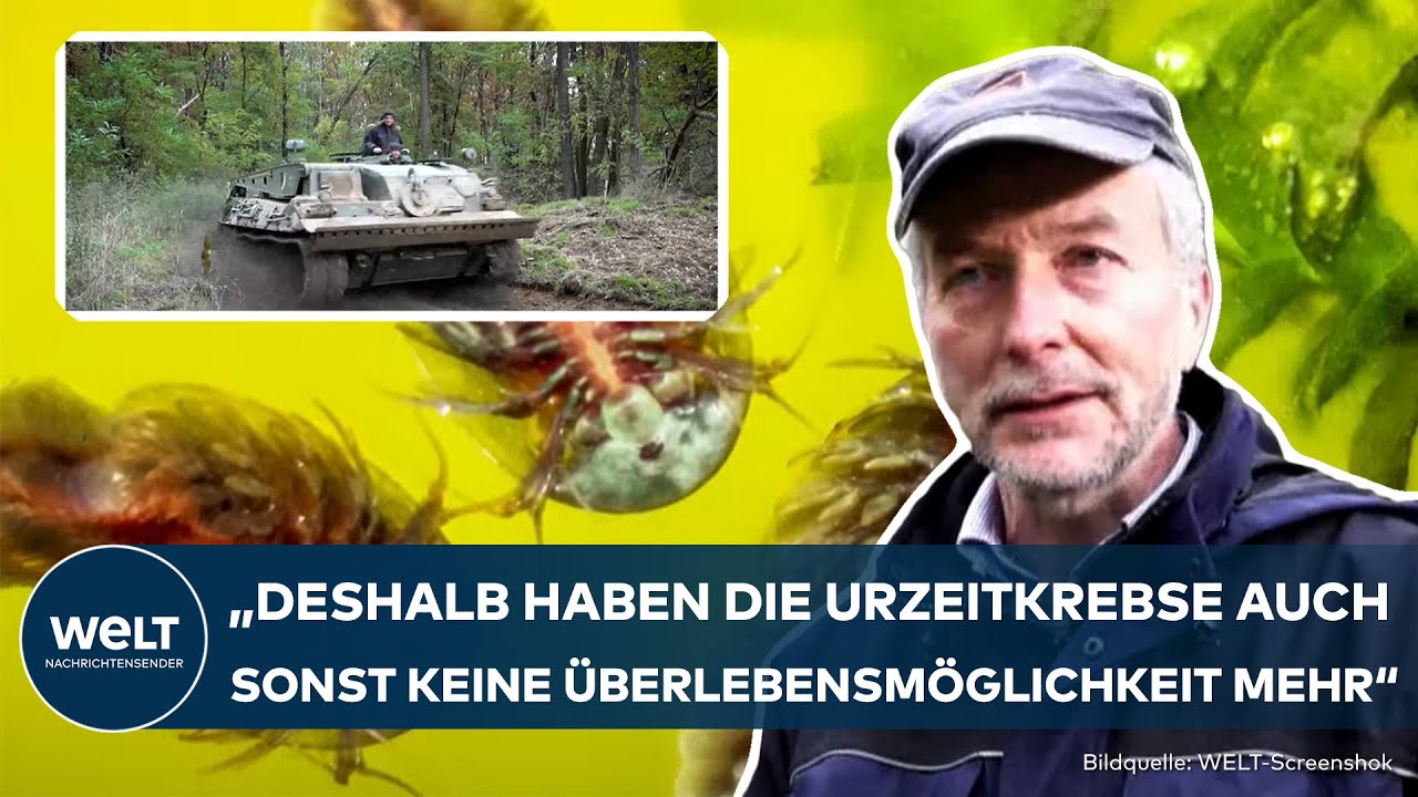 EINSATZ IN DÖBERITZER HEIDE: Leopard Panzer auf wichtiger Mission | Rettung von Urzeitkrebsen