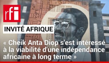 « Cheik Anta Diop s'est intéressé à la viabilité d'une indépendance africaine à long terme »