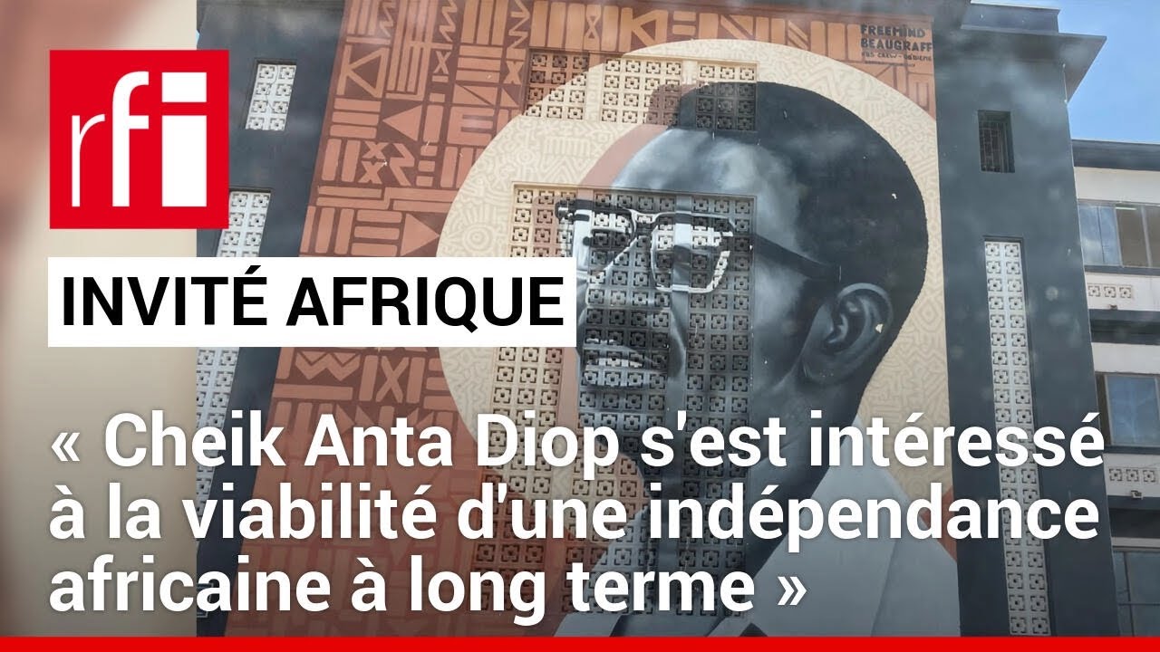 « Cheik Anta Diop s'est intéressé à la viabilité d'une indépendance africaine à long terme »