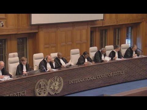 South Africa files genocide case against Israel at World Court • FRANCE 24 English