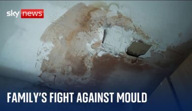 One family's fight against mould: 'It's been so bad'