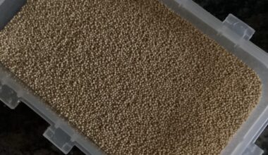 Was ist das? Hallo ihr lieben, ich habe diese Körner vor einiger Zeit in eine tupperbox gefüllt und den Karton weggeworfen. Es ist geruchsneutral. Vermutung Bulgur oder Amaranth. Könnt ihr mir helfen?