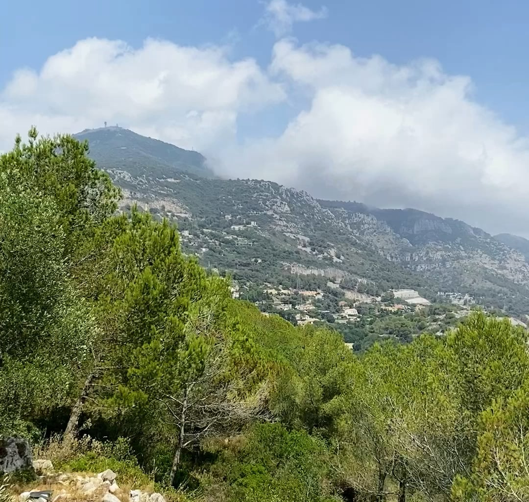 Monaco from up in the hills.