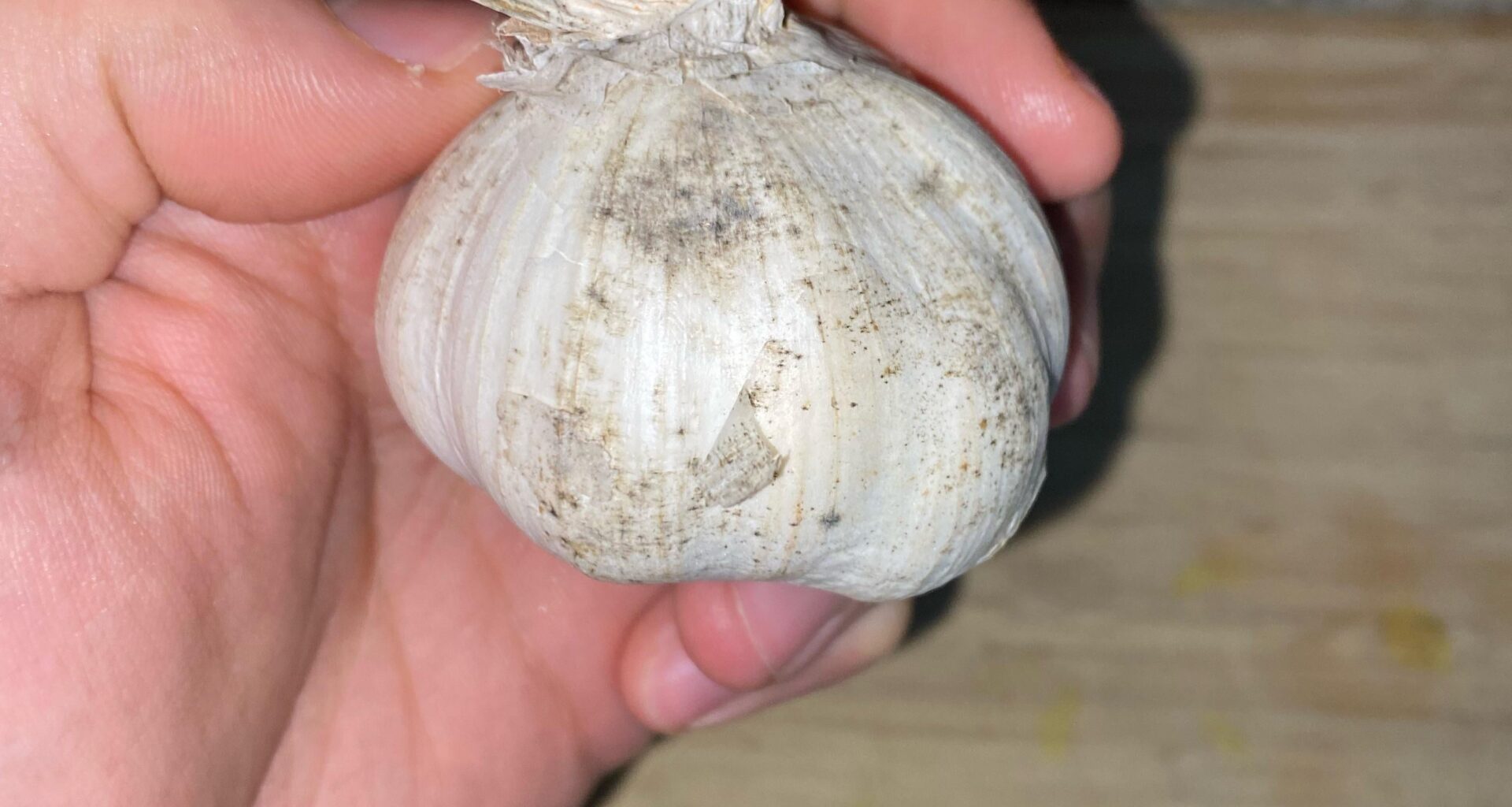 Knoblauch schimmelt