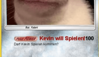 HI DARF DER KEVIN BEI MIR SPIELEN KOMMEN