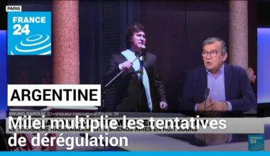 Argentine : à peine au pouvoir, Javier Milei multiplie les tentatives de dérégulation de l'économie