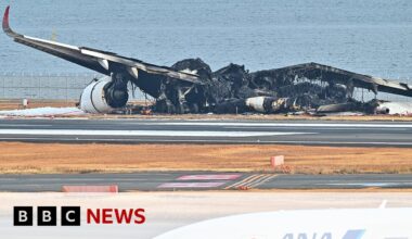 Japan Airlines: Airbus to assist investigation into jet crash | BBC News