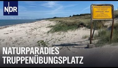 Truppenübungsplatz - Das Schutzgebiet am Ostseestrand | Die Nordreportage | NDR Doku