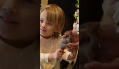 Jurassic Parker-Bowles: Cute Toddler Beats Queen in Toy Tug-of-War