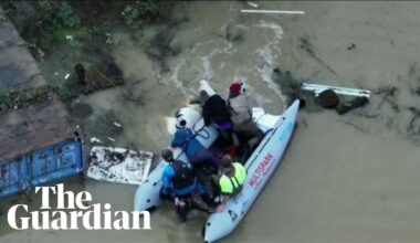 Moment rescuers pull horses from floodwaters caused by Storm Henk