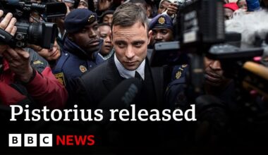 Oscar Pistorius released on parole 11 years after killing Reeva Steenkamp | BBC News