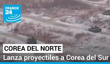 Corea del Norte lanzó más de 200 proyectiles cerca de Corea del Sur • FRANCE 24 Español