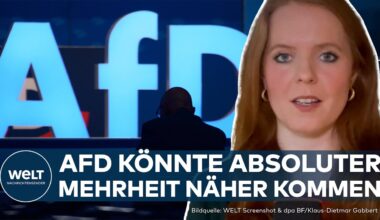 UMFRAGEHAMMER IN SACHSEN: AfD kommt auf 37 Prozent – SPD könnte aus dem Landtag fliegen