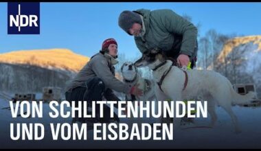 Winter in Norwegen - Glücklich durch die dunkle Jahreszeit  | Nordseereport | NDR Doku