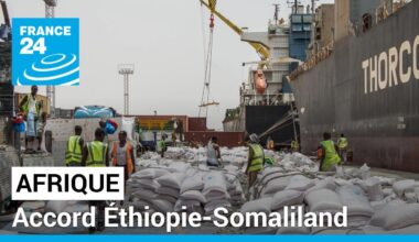 Accord Éthiopie-Somaliland : la Somalie assure qu'elle défendra son territoire "par tous les moyens"