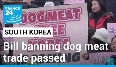 South Korea parliament passes bill banning dog meat trade • FRANCE 24 English