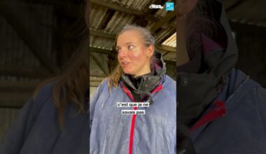 🌻La transmission du savoir-faire agricole • FRANCE 24