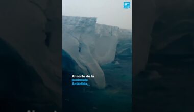 1/2 ▶️ Se derrite el último gran iceberg del planeta