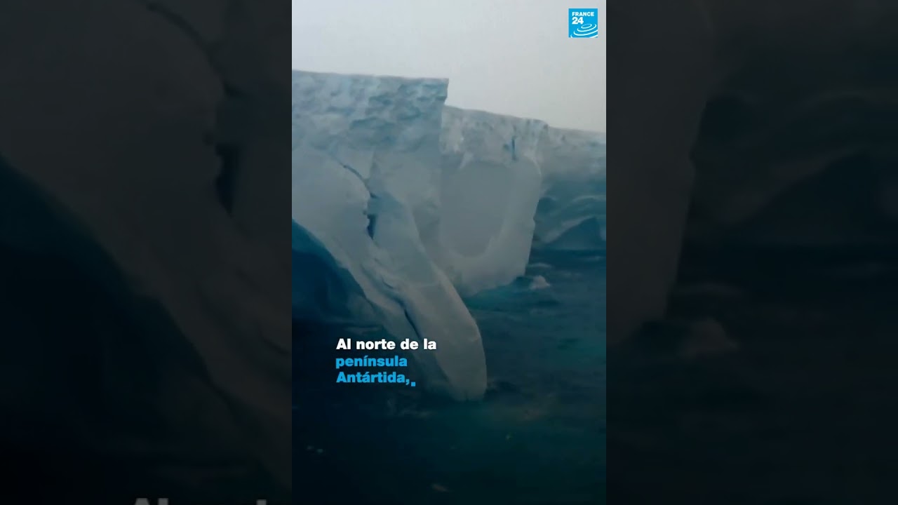 1/2 ▶️ Se derrite el último gran iceberg del planeta