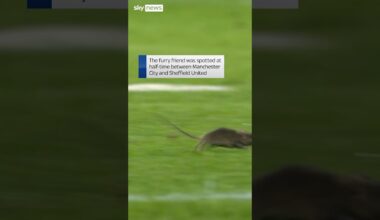 Say cheese! Rodent invades pitch