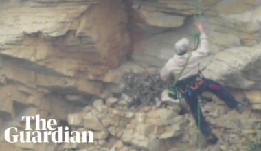 Derbyshire man caught on camera stealing peregrine falcon eggs