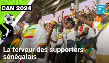 CAN 2024 : la passion des fans sénégalais, la recette de la victoire contre le Cameroun ?