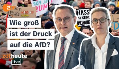 Massenproteste, wie die AfD reagiert und was das NPD-Urteil für sie bedeutet | ZDFheute live