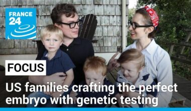 Meet the US families crafting the perfect embryo with genetic testing • FRANCE 24 English