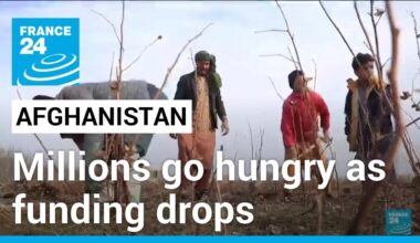 Millions of Afghans cold and hungry amid funding shortages • FRANCE 24 English