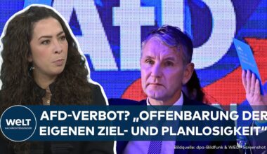 AFD: "Irrsinn, jemandem die Grundrechte zu entziehen" – Verbot und Höcke-Pedition würden AFD nutzen