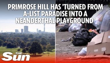 Primrose Hill has 'turned from A-list paradise into a Neanderthal playground'